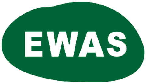 EWAS 이와스 어학원