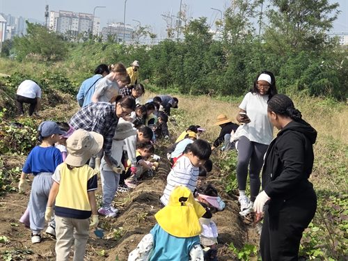 이와스 어학원 아이들의 활동 모습