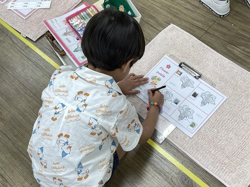 이와스 어학원 아이들의 활동 모습